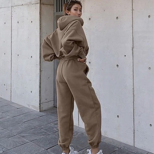 Load image into Gallery viewer, Women Warm Hoodie and Pants Set
