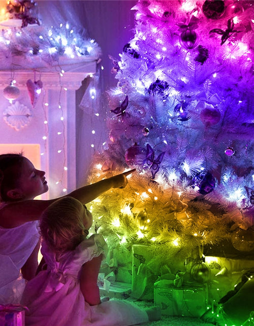 Load image into Gallery viewer, LED String Lights Christmas
